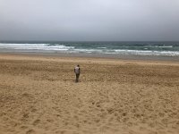 IMG 7324  beautiful ocean