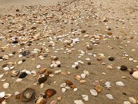 IMG 7326  a great selection!