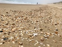 IMG 7327  need to look at each one!