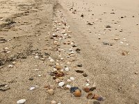 IMG 7328  for all the good ones!