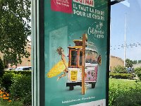 IMG 7347  California poppies in France!