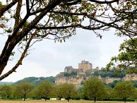 IMG 7354  local castle, framed..