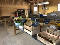 IMG 7357  the selection