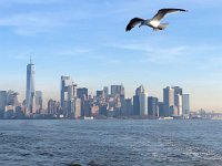 IMG 1526  Man and nature