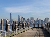 IMG 1544  more gull art