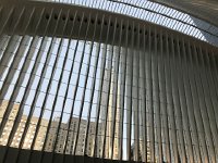 IMG 1592  In the Oculus (view out the side)