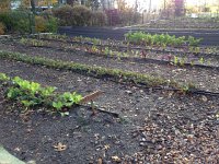 IMG 4285  actual gardens (a park?) at the Battery