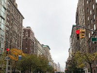 IMG 1671  a rainy day after yesterday&#39;s sun