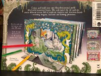 IMG 1712  details on back of the package