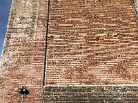 IMG 1765  taking shelter in the warm-ish sun