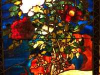 IMG 1909  close up for study. Greg can just copy this!