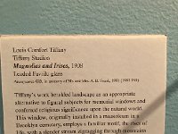 IMG 1911  another caption