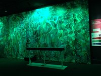 IMG 4369  same wall...