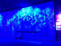 IMG 4370  different images depending on the color of the lighting