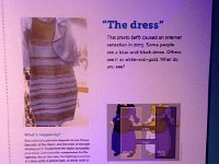 IMG 4379  the famous dress which seems here to be the way I first saw it - white and gold