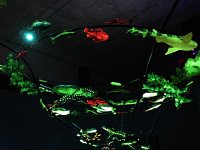 IMG 4382  and then an exhibit about the sea