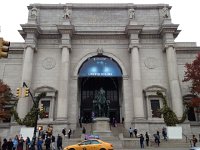 IMG 4384  Meanwhile Greg was wrapping up his time at the AMNH