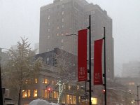 IMG 4398  it is quite pretty