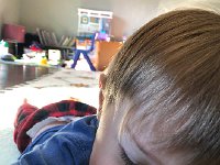 IMG 1944  It&#39;s hard to get a good portrait of such an active little guy