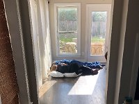 IMG 1995  nap time for the jet-lagged