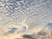 IMG 1996  divet in the sky