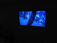 IMG 4451  Japan powder