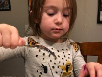 IMG 2132  attacking the cage