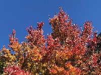 IMG 2157  and here too