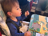 IMG 2163  at the table with a new Swissy (cow) puzzle