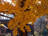 IMG 4469  nature doing its part