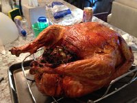 IMG 4478  beautiful turkey