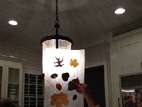 IMG 4496  then leaf projects