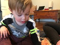 IMG 2179  Not this way