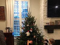 IMG 2209  We got a Christmas tree at the high school again