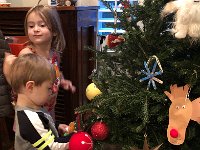 IMG 2210  putting ornaments on the tree