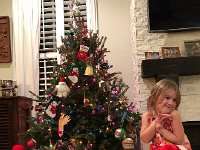 IMG 2220  a little elf dressed in stockings!