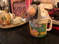 IMG 2227  Eeyore enjoys it