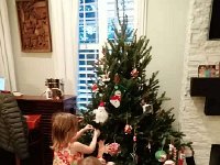 IMG 2243  there are ornaments galore