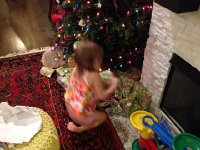 IMG 4526  flurry of activity