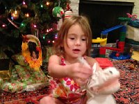 IMG 4541  looks like...