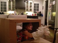 IMG 4545  a unicorn hand puppet