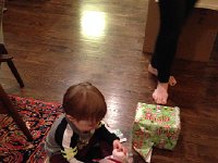 IMG 4591  cow slippers