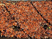 IMG 2274  bleacher art