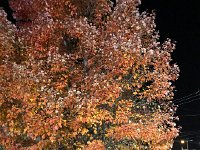 IMG 2282  the crowd leaving