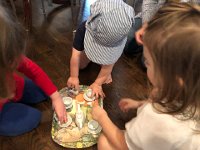 IMG 2342  little brother in the tea party makes it somewhat challenging