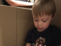 IMG 2372  fun in a box