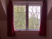 IMG 1287  window art