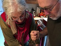 IMG 1304  Delicata squashes