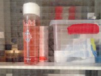 IMG 4232  old style pixelated