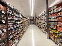 IMG 2569  rows and rows